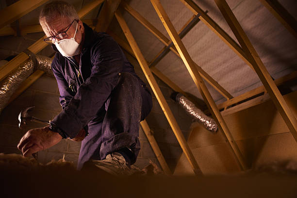 Best Commercial Insulation in Dillsboro, IN